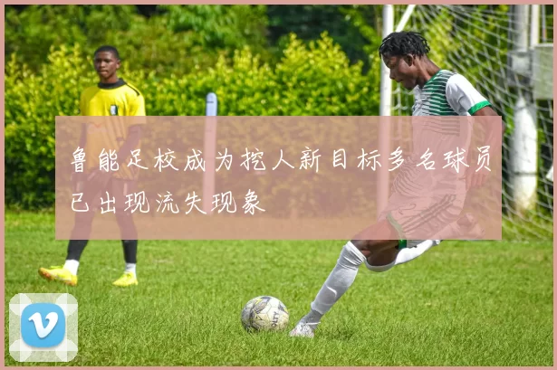 鲁能足校成为挖人新目标多名球员已出现流失现象
