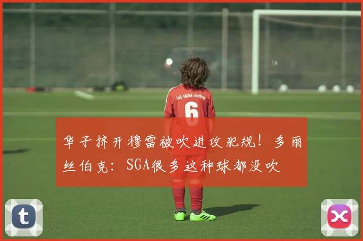华子挤开穆雷被吹进攻犯规！多丽丝伯克：SGA很多这种球都没吹