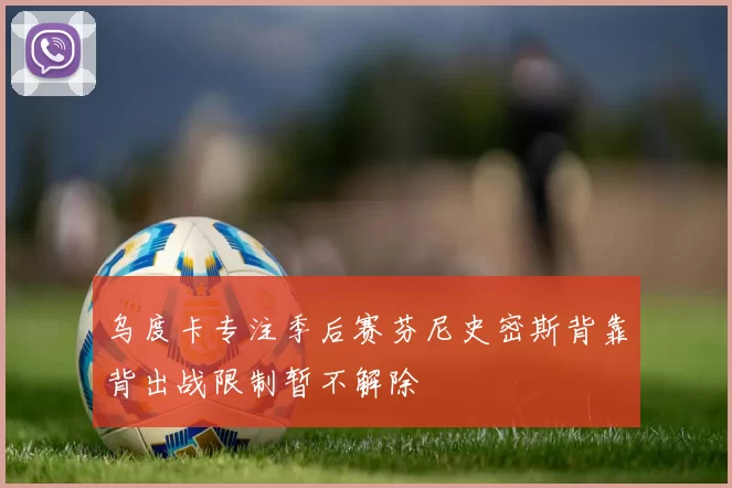 乌度卡专注季后赛芬尼史密斯背靠背出战限制暂不解除